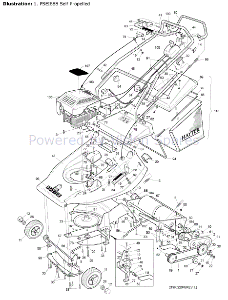 thumbnail image 2 of PIX Replacement Drive Belt For Hayter Harrier 48 Toothed Roller – 219110 2 of 5