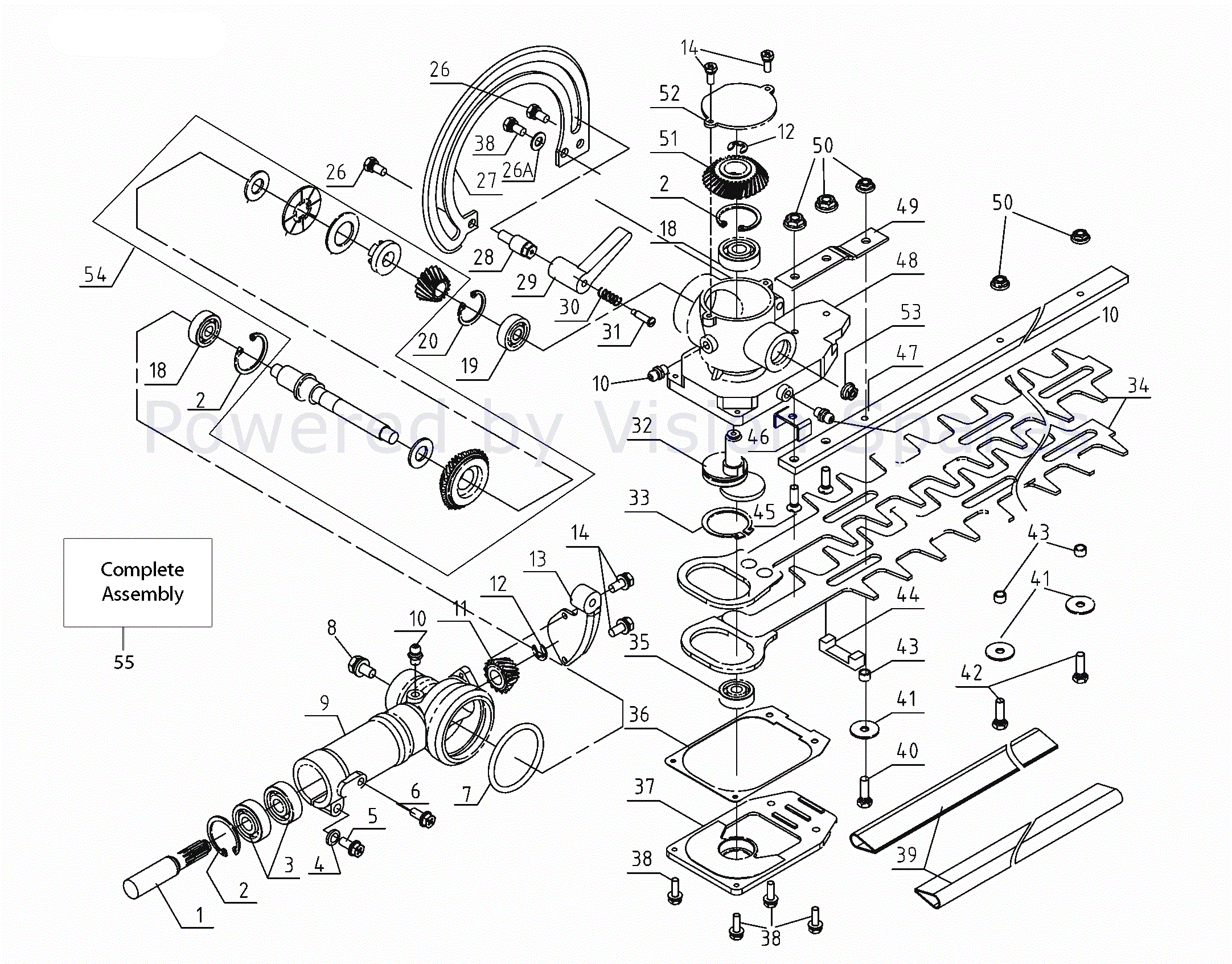 Titan Petrol Hedge Trimmer Parts